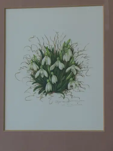 H92-Aquarell-Bild-Blumenbild-signiert-gerahmt-Gemälde-hinter Glas