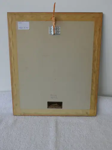 H92-Aquarell-Bild-Blumenbild-signiert-gerahmt-Gemälde-hinter Glas
