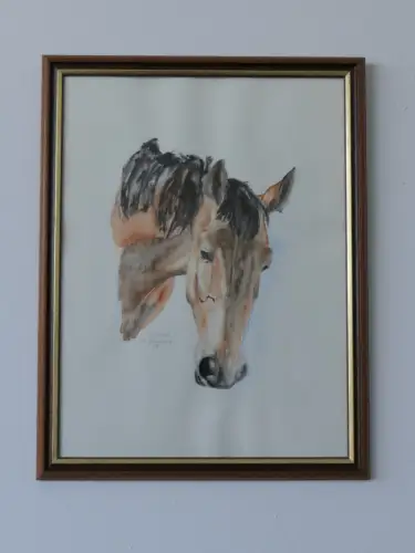 H93-Aquarell-Bild-Tierbild-gerahmt-Pferdekopf-signiert-Gemälde-datiert