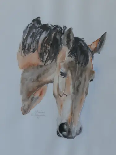 H93-Aquarell-Bild-Tierbild-gerahmt-Pferdekopf-signiert-Gemälde-datiert