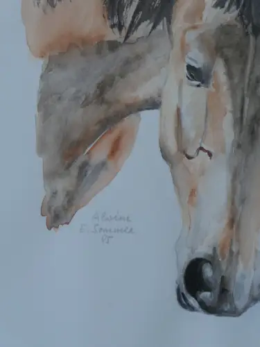 H93-Aquarell-Bild-Tierbild-gerahmt-Pferdekopf-signiert-Gemälde-datiert