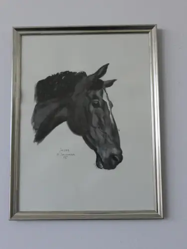 H94-Aquarell-Bild-Tierbild-Pferdekopf-Gemälde-signiert-gerahmt