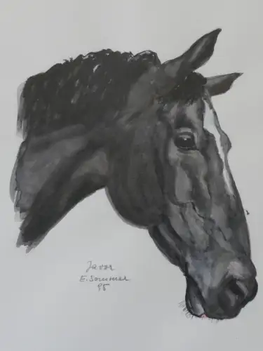 H94-Aquarell-Bild-Tierbild-Pferdekopf-Gemälde-signiert-gerahmt