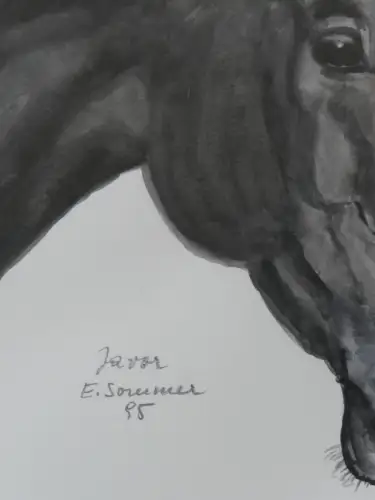 H94-Aquarell-Bild-Tierbild-Pferdekopf-Gemälde-signiert-gerahmt