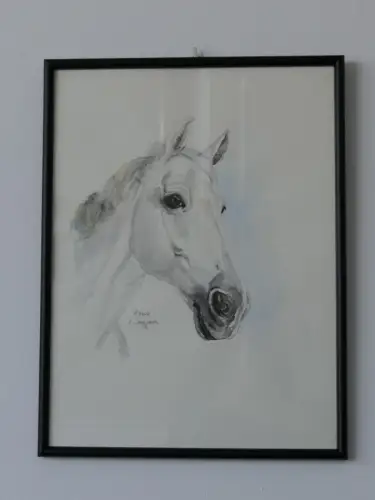 H95-Aquarell-Bild-Tierbild-Pferdekopf-Gemälde-gerahmt-signiert-datiert