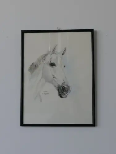 H95-Aquarell-Bild-Tierbild-Pferdekopf-Gemälde-gerahmt-signiert-datiert