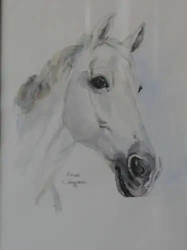 H95-Aquarell-Bild-Tierbild-Pferdekopf-Gemälde-gerahmt-signiert-datiert