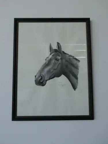 H96-Aquarell-Bild-Tierbild-Pferdekopf-gerahmt-datiert-signiert