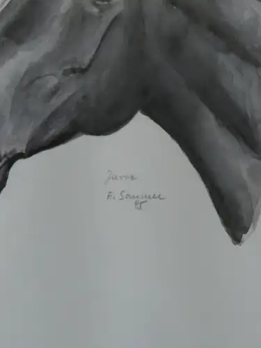 H96-Aquarell-Bild-Tierbild-Pferdekopf-gerahmt-datiert-signiert