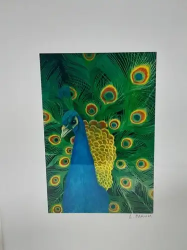 H771-Tierbild-Druck-Vogelbild-Pfau-gerahmt-hinter Glas-Passepartout