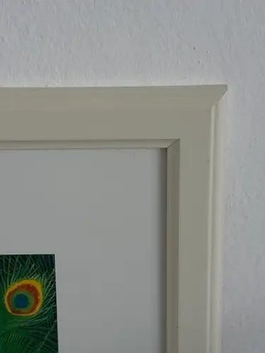 H771-Tierbild-Druck-Vogelbild-Pfau-gerahmt-hinter Glas-Passepartout