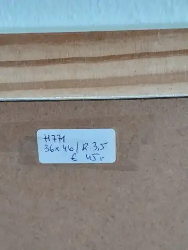 H771-Tierbild-Druck-Vogelbild-Pfau-gerahmt-hinter Glas-Passepartout