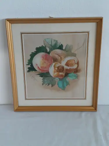 H803-Aquarell-Stillleben-Bild-Mischtechnik-Passepartout-signiert-gerahmt-datiert