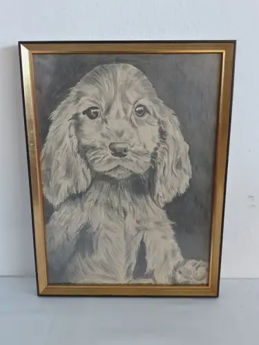 H1505-Bleistiftzeichnung-Hund-Tierbild-signiert-datiert-gerahmt-hinter Glas-Bild