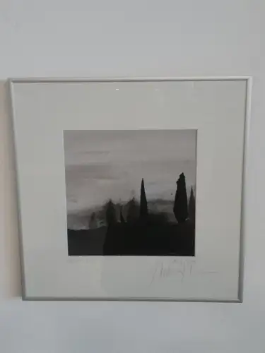 H1517-Landschaftsbild-Mischtechnik-Bild-Gemälde-signiert-gerahmt-datiert