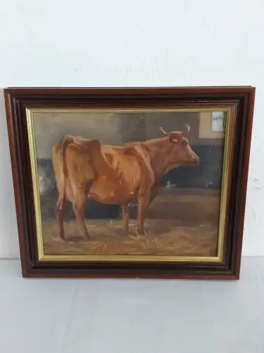 H1497-Ölbild-Ölgemälde-Öl auf Holz-Gemälde-Tierbild-Rind-Bild-signiert-gerahmt