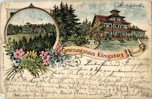 Genesungsheim Königsberg bei Goslar - Litho -37012