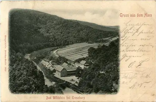 Bad Wildstein bei Treseburg - Gruss aus dem Harz -37442