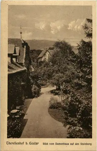 Theresienhof bei Goslar - Blick vom Damenhaus auf den Steinberg -37412