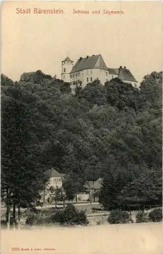 Stadt Bärenstein - Schloss und Sägewerk -37016