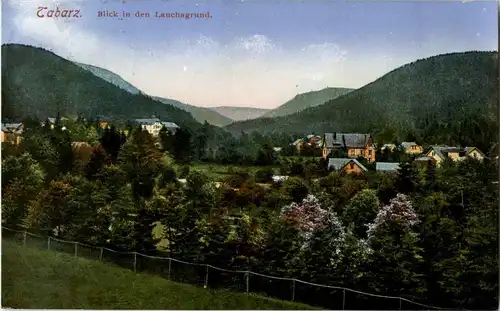 Tabarz - Blick in den Lauschagrund -37982