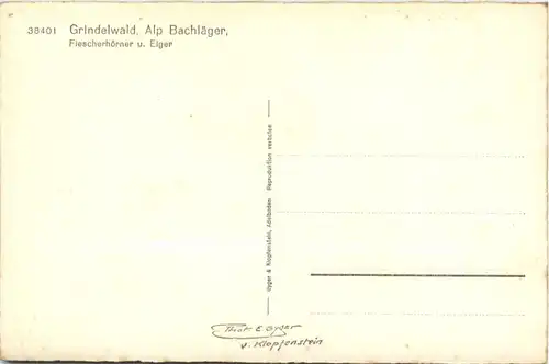 Grindelwald - Alp Bachläger -412172