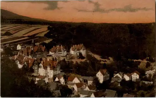 Falkenstein - Offizier-Heim mit Park -37278