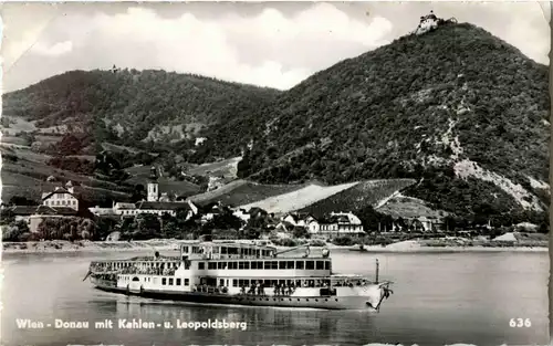 Wien Donau mit Kahlen und Leopoldsberg -38938