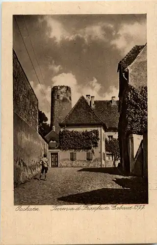 Oschatz - Turm an der Tronfeste -38228