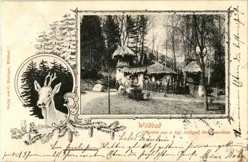 Wildbad - Partie aus den Kgl. Anlagen -39666