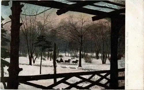 New York - Central Park -39228