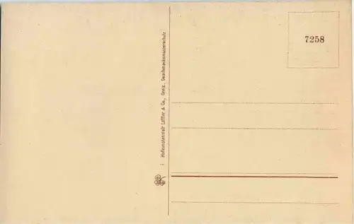 Dicke Tannen bei Hohegeiss -39464