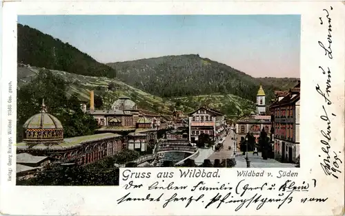 Gruss aus Wildbad - Lunakarte -39604