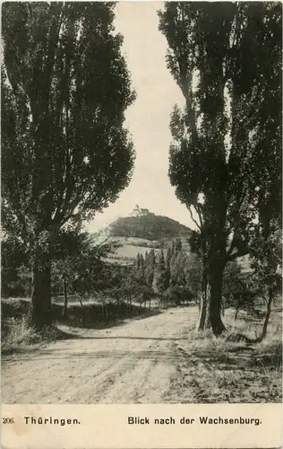 Blick nach der Wachsenburg -39738