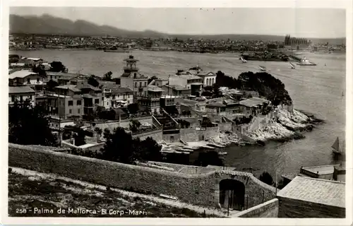 Palma de Mallorca - El Corp-Mari -50844