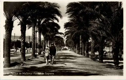 Palma de Mallorca - Paseo de Sagrera -50830