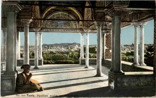 Tunis - Pavillon arabe au Belvedere -50618