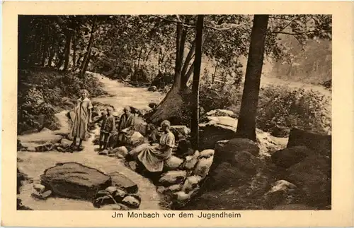 Bad Liebenzell - Im Monbach vor dem Jugendheim -40170