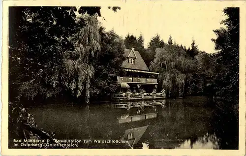 Bad Münder a. D. Restauration zum Waldschlösschen -39506