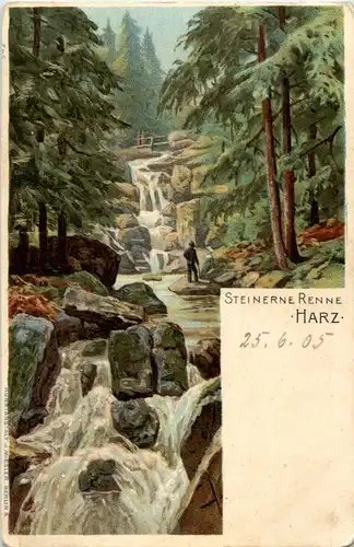 Steinerne Renne - Harz - Litho -39978