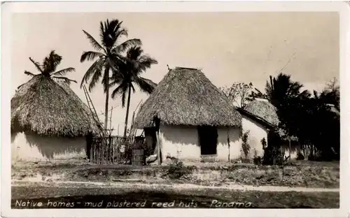 Panama - Native homes -50532