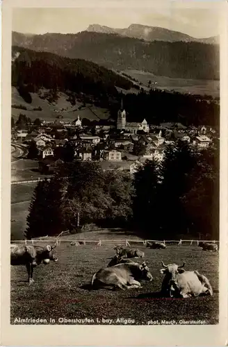 Oberstaufen, Allgäu,Almfrieden -340412