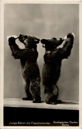 Zoo Berlin - Junge Bären als Flaschenkinder -40818