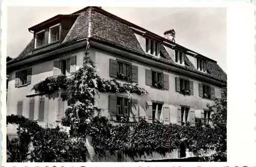 Cressier - Les Cyclamens -412532