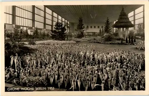 Berlin - Grüne Woche 1953 -40890
