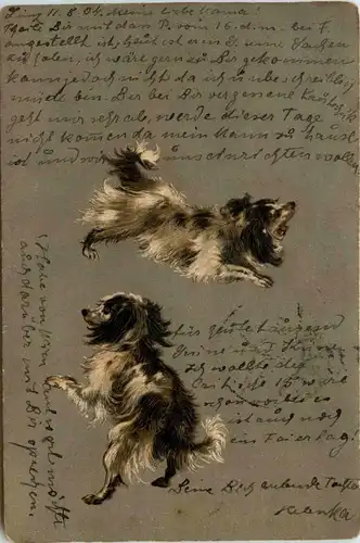 Hunde - Prägekarte -412884