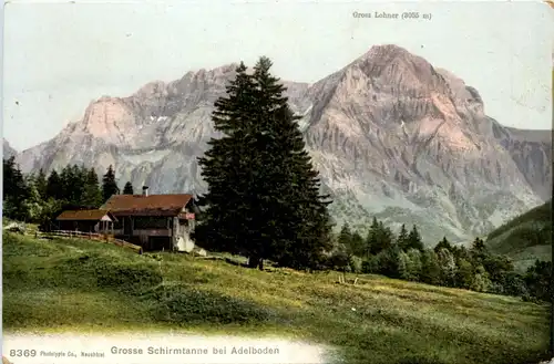 Adelboden - Grosse Schirmtanne -412456