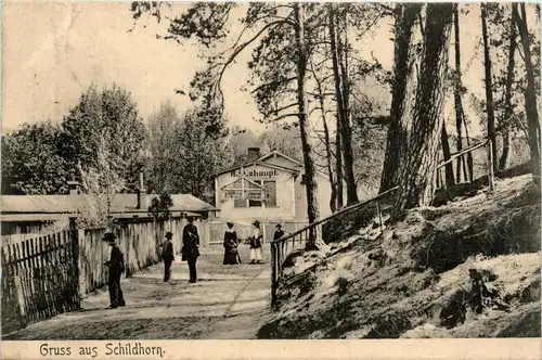 Berlin-Grunewald - Gruss aus Schildhorn -412994