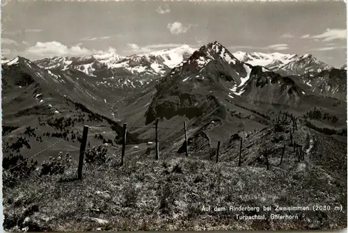 Zweisimmen - Rinderberg -412366