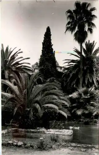 Mallorca Jardines de Alfabia -413444